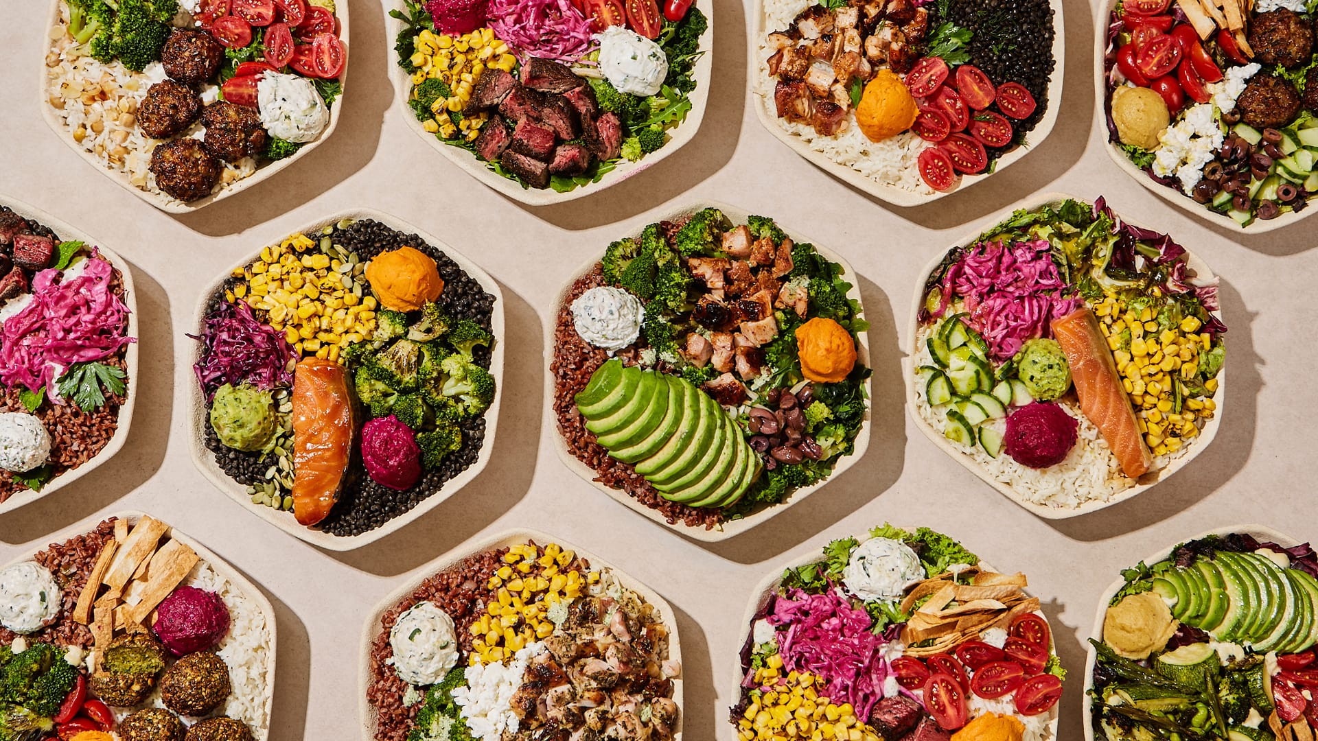 1920x1080_Protein Garden_Composition Photo