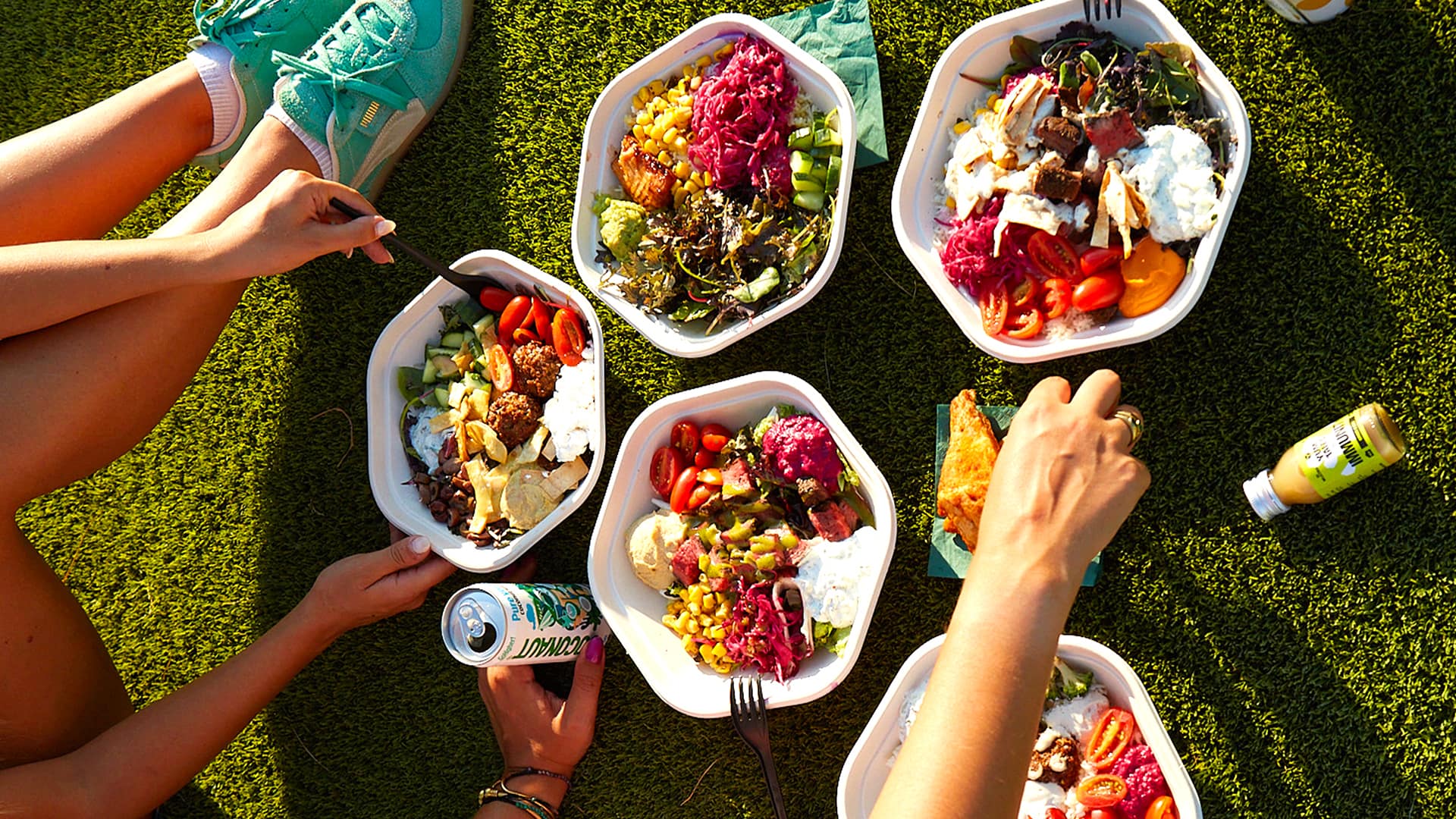 1920x1080_proteingarden2